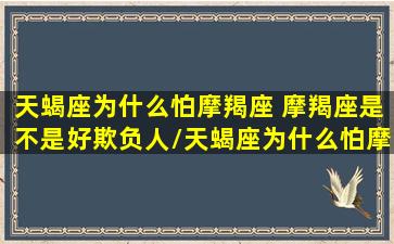 天蝎座为什么怕摩羯座 摩羯座是不是好欺负人/天蝎座为什么怕摩羯座 摩羯座是不是好欺负人-我的网站